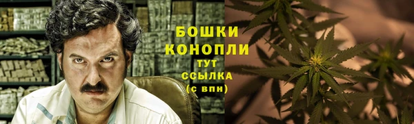 spice Арсеньев