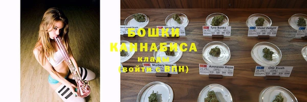 spice Арсеньев