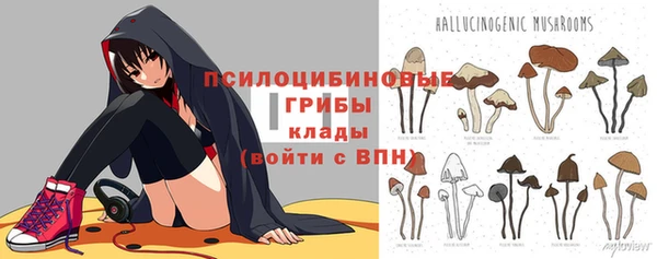 spice Арсеньев