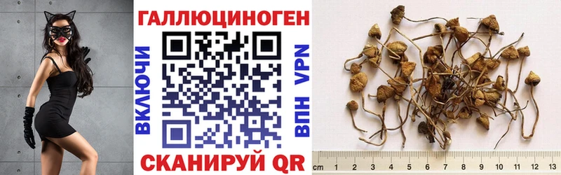 Галлюциногенные грибы GOLDEN TEACHER  MEGA как войти  Талдом 